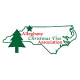 Lil' Grandfather Xmas Tree Frm - Other in Laurel Springs
