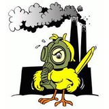 Canary Coalition - Other in Sylva