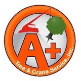 A Plus Tree & Crane Service - Tree Services in Raleigh