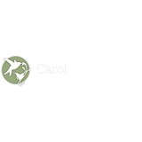 Carolina Outreach - Painters & Decorators in Pittsboro