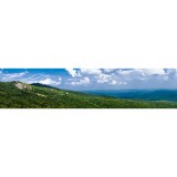 Wnc Insurance - Insurance in Asheville