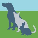 White Carolyn G DVM - Veterinarians/Vets in Charlotte