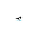 Sandpiper Heating & Acllc - Other in Calabash