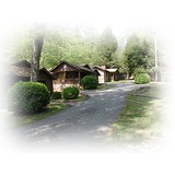 Mountain Brook Cottages - Other in Sylva