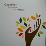 Blue Ridge Care Net Counseling - Other in Mount Airy
