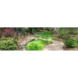 Carswell s Tree Service - Other in Morganton