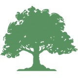 Carlson Financial Service LLC - Financial Services in Raleigh