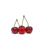 Custom Fit Nutrition and Wellness - Nutritionists in Raleigh