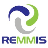 Remmis Consulting Inc - Other in Apex