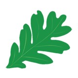 New Garden Friends Meeting - Churches in Greensboro