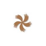 Raleigh Website Designer - Web Design & Development in Raleigh