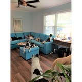 Dynamic Alliances - Business Consulting in Cary