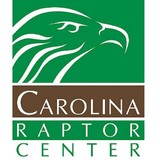 Carolina Raptor Center - Other in Huntersville