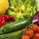 Coastal Harvesters Inc - Other in Buxton
