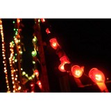 Meadow Lights - Other in Benson