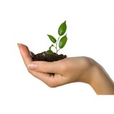 Nbs Holdings, Inc - Web Design & Development in Greensboro
