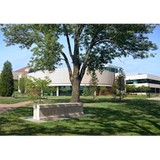 Town Of Cary - Other in Apex