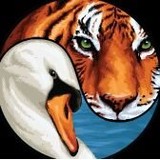 Tigerswan Integrated Commercial Service - Other in Apex