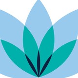 Wellness Chiropractic - Doctors in Charlotte