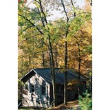 Ash Grove Mountain Cabins and Camping - Other in Brevard