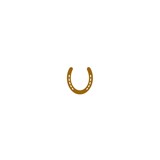 Triangle Equine Veterinary Service - Veterinarians/Vets in Cary