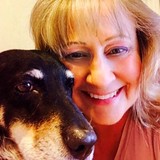 Carolina Bed Bug Dog(an aka for K9 Sleuth Services) - Pest Control in Greensboro