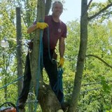 Rockenstein Tree Service - Other in Sylva