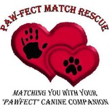 Paw Fect Match Rescue - Other in Apex