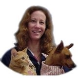 Lash Sara DVM - Veterinarians/Vets in Raleigh