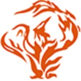 Phoenix Metals CO - Metals, Metallurgy & Metalworking in Charlotte