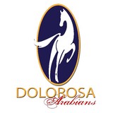 Dolorosa Farms Ltd - Other in Rocky Point