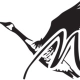 Goose Creek Marine - Boat & Yacht Dealers in Newport