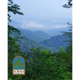 Fascoe Realty - Other in Boone