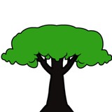 Taylor Lawn Care, Inc. - Lawn Services in Mooresville