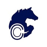 The Chetson Firm - Solicitors & Lawyers in Raleigh