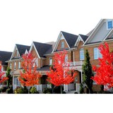 Mooresville Property Management - Other in Mooresville