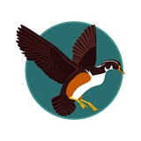 Absolute Moving & Storage Inc - Movers & Removals in Wilmington