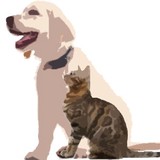Franklin County Humane Society (Fchs) - Other in Youngsville