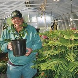 Turner Greenhouses - Other in Goldsboro