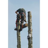 Quality Tree Service - Tree Services in Sanford