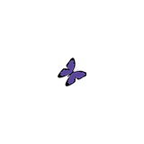 Imagine Alignment - Charlotte's Best Massage Therapy - Massage Therapy in Charlotte