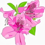 Azalea Coast Graphics - Manufacturer in Wilmington