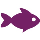 9 Inch Marketing - Marketing in Cary
