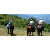 Randall Glen Stables - Business Consulting in Leicester