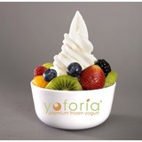 Yoforia - Wholesale in Charlotte