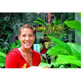 Katrina's Flower Shop - Florists in Washington