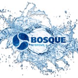 Bosque Disposal Systems - Other in Tioga
