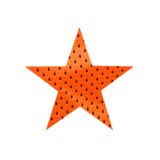 North Star Safety Inc - Other in West Fargo