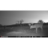 Medicine Creek Lodge - Restaurants in Cambridge