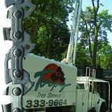 Torpy Tree Service - Tree Services in Omaha